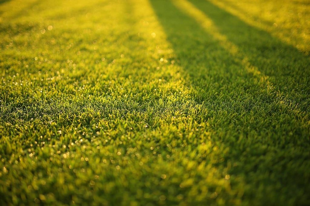 lawn-scarifiers-and-aerators