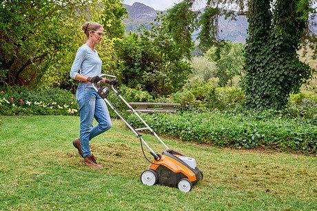 Lawn Aeration or Scarification or both?