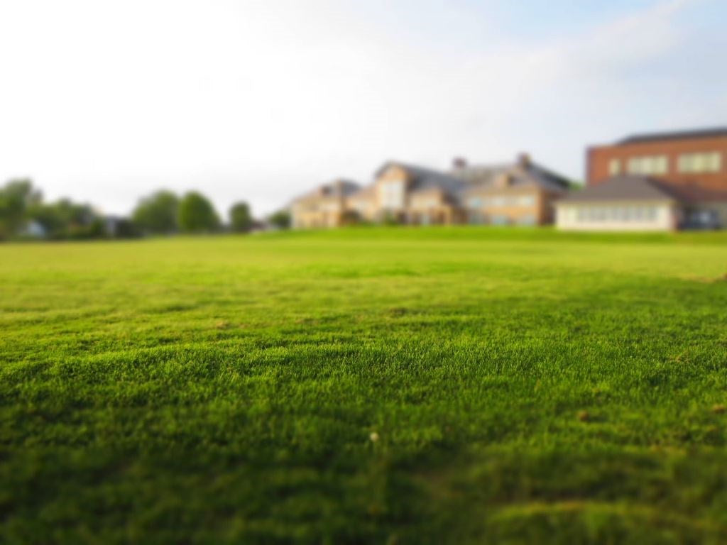 Autumn Lawn Care Tips