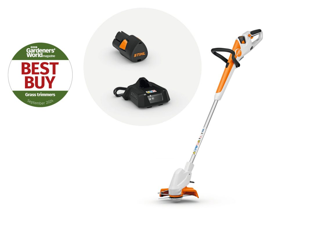 Stihl FSA30 Cordless Strimmer