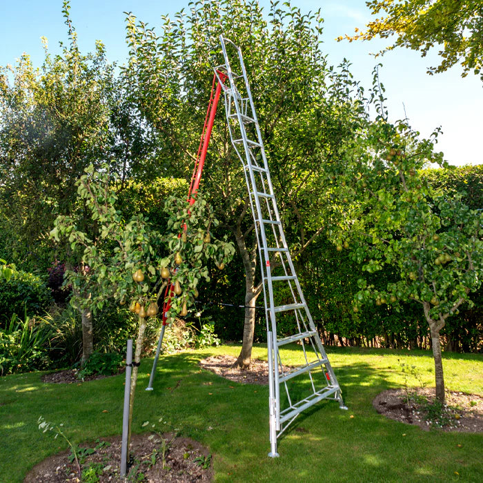 Henchman Fully Adjustable PRO Tripod Ladder
