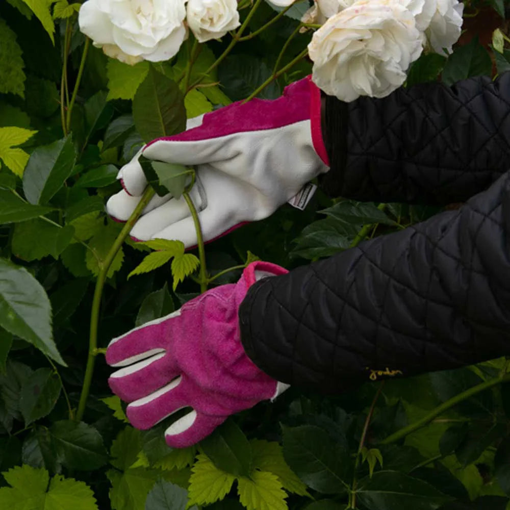 T&C Premium Leather & Suede Aubergine Gloves
