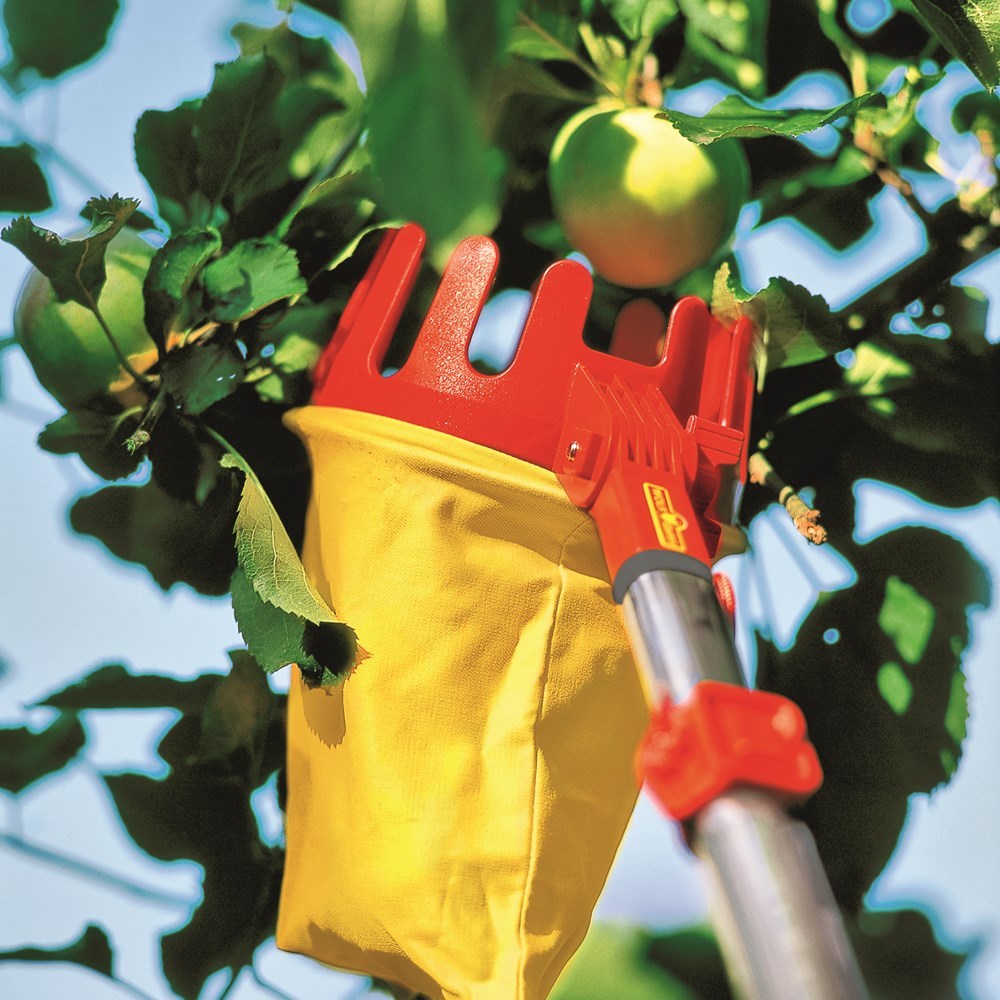 Wolfgarten fruit picker in front of apple tree picking green apple