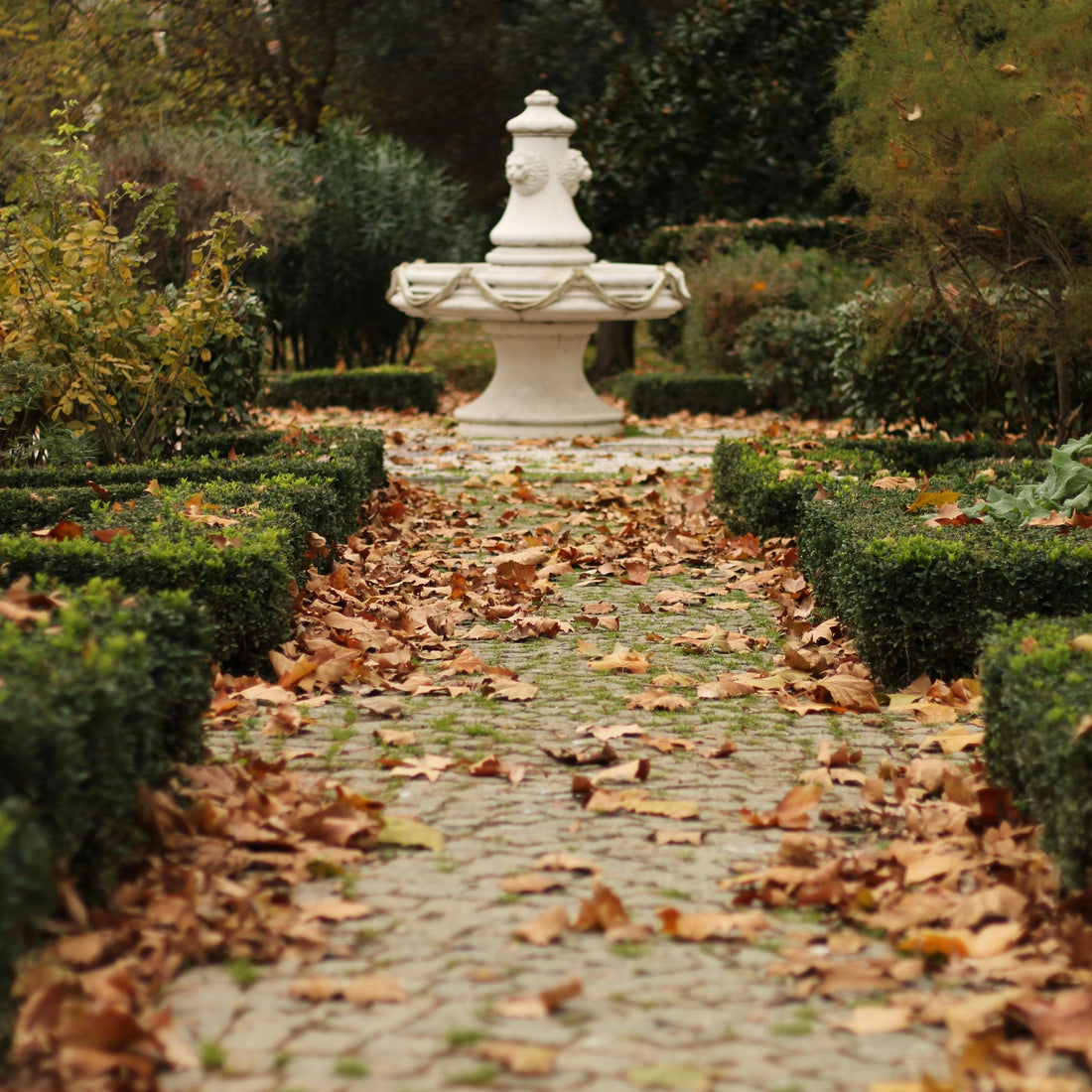 fallen leaves on garden path leading to water fountain