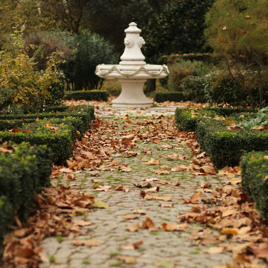 fallen leaves on garden path leading to water fountain