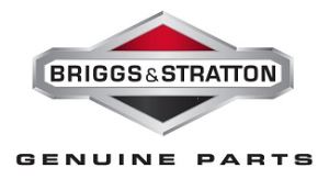 Briggs and Stratton