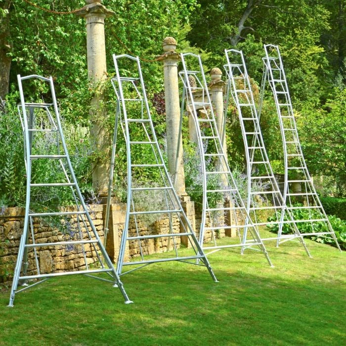 Ladders