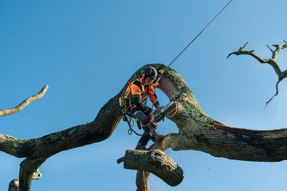 Husqvarna T540i XP® G Chainsaw