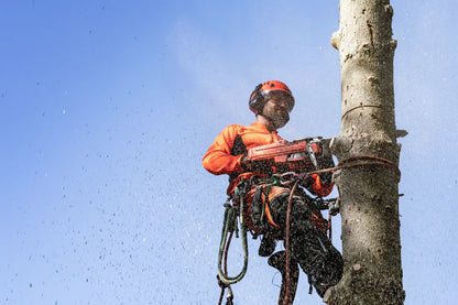 Husqvarna 550 XP® G Mark II Chainsaw