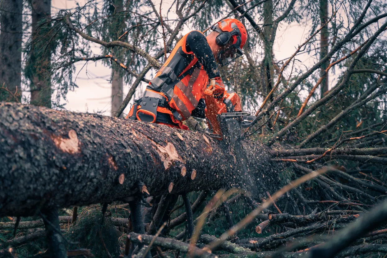 Husqvarna 592 XP® Chainsaw