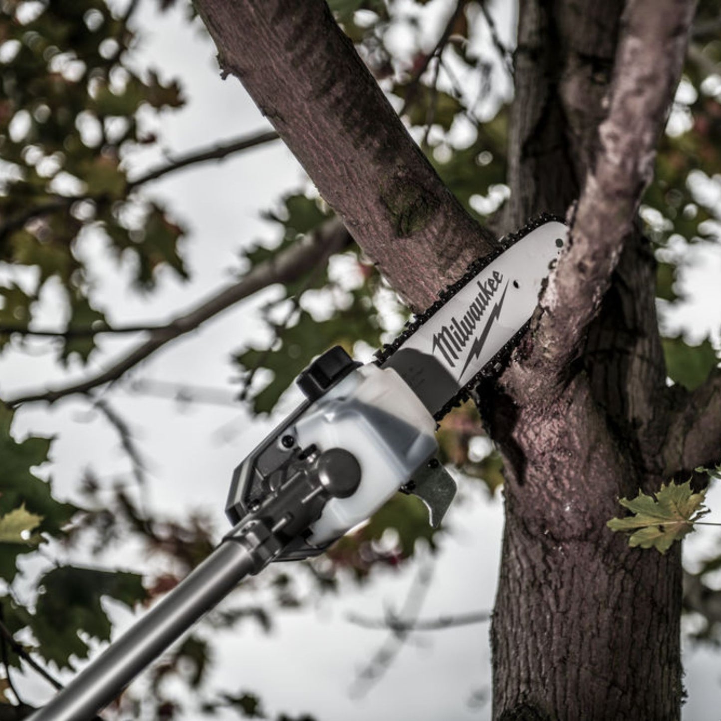 Milwaukee Chain Saw attachment