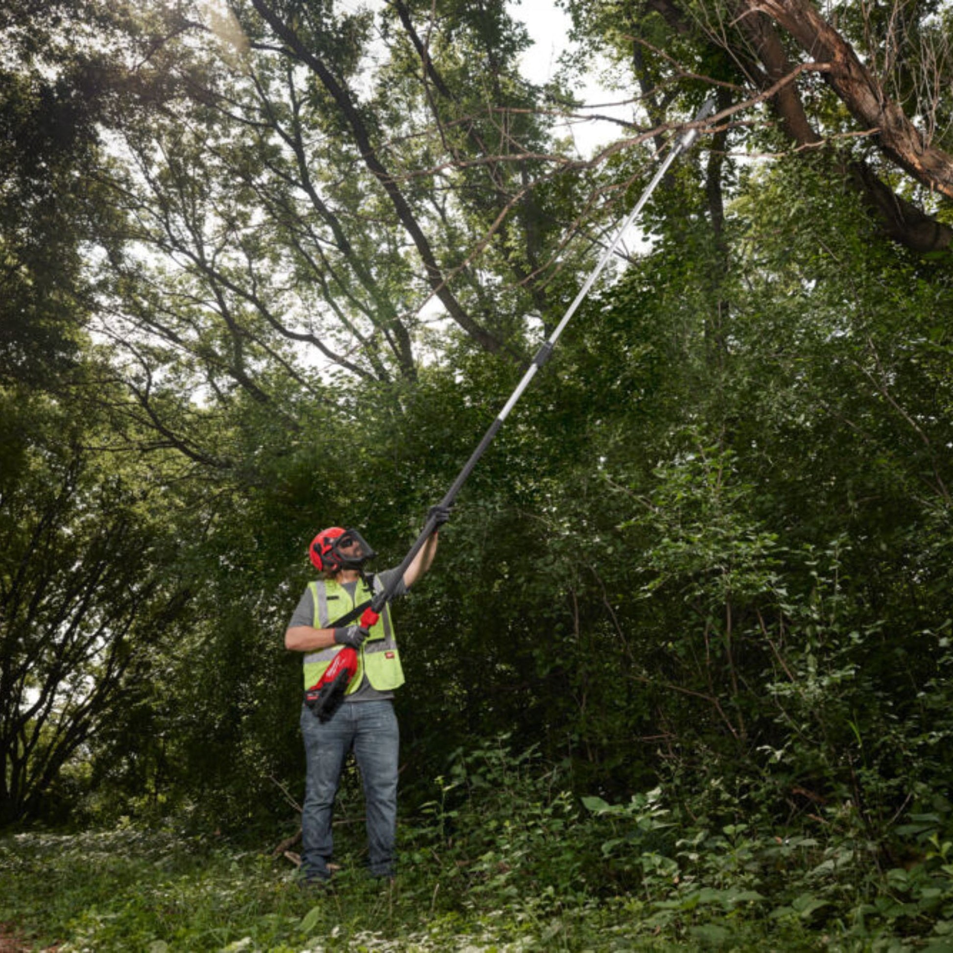M18_FTPS30_Milwaukee_telescopic_pole_saw_cutting_branch