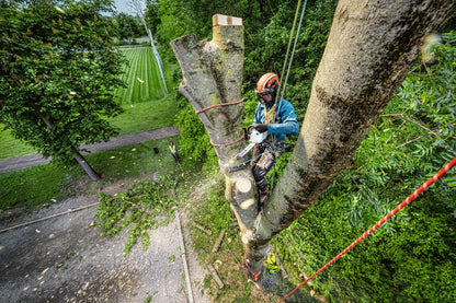 Stihl MSA 240.0 TC-O Cordless Chainsaw - ALLPRO System
