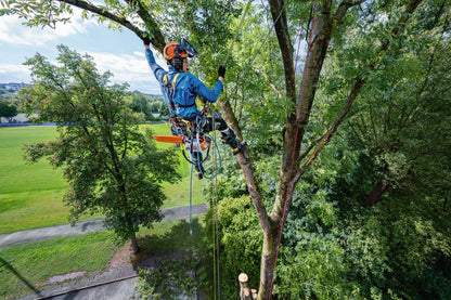 Stihl MSA 240.0 TC-O Cordless Chainsaw - ALLPRO System