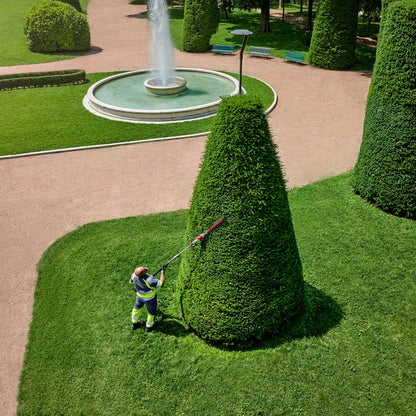 Person trimming a large conical shrub in a well-manicured garden with a fountain in the background.