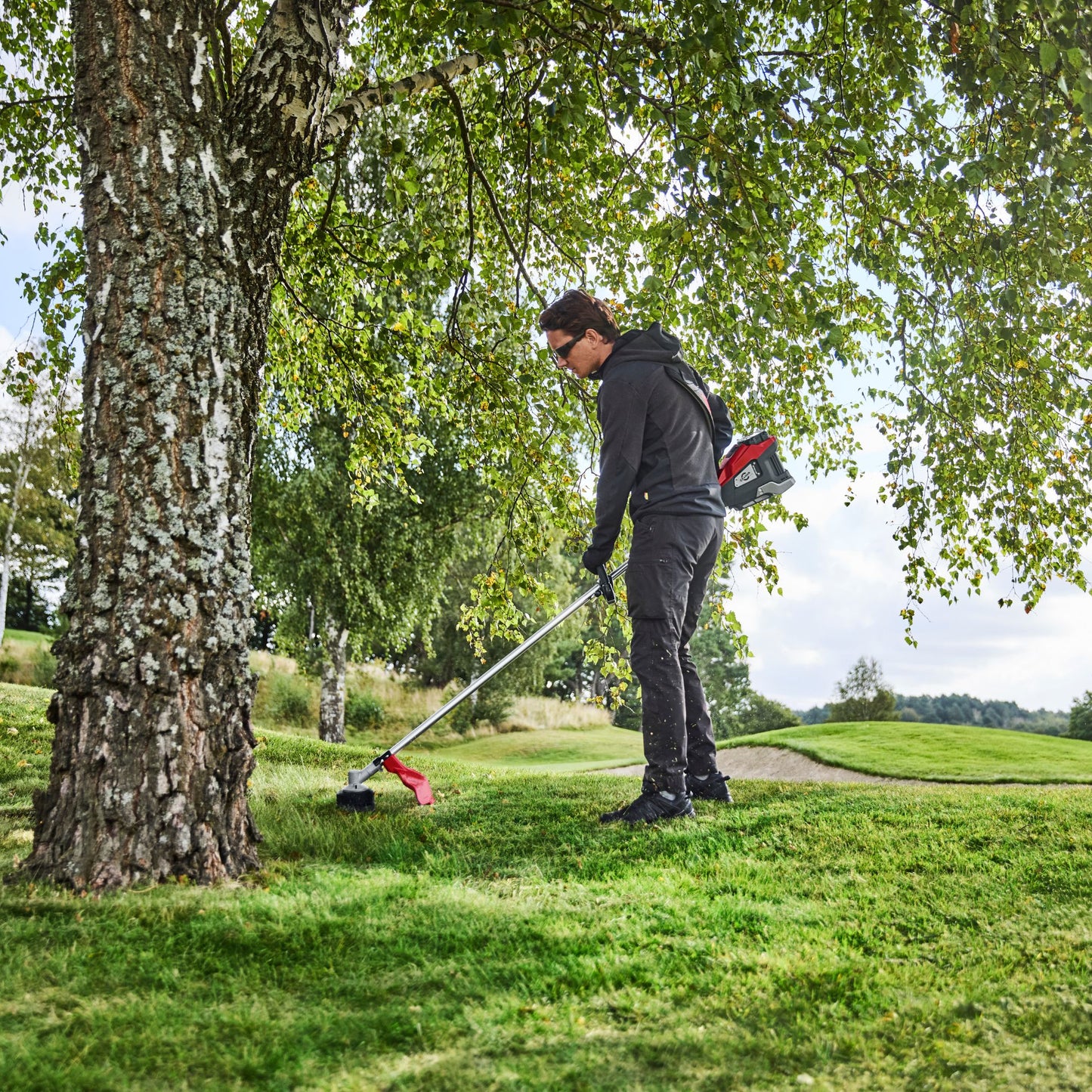 Person using a red and silver strimmer to cut grass near a tree