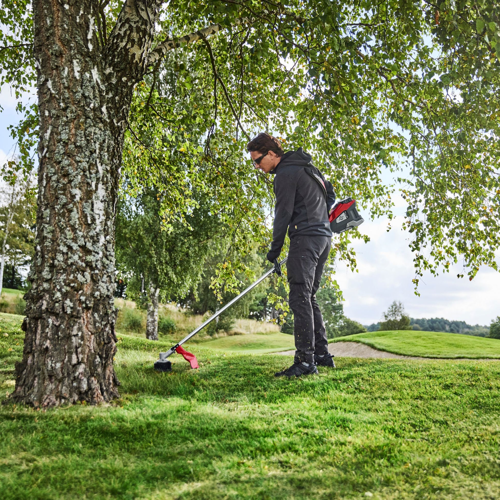 Person using a red and silver strimmer to cut grass near a tree