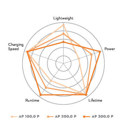 Stihl AP 200 P Battery - ALLPRO
