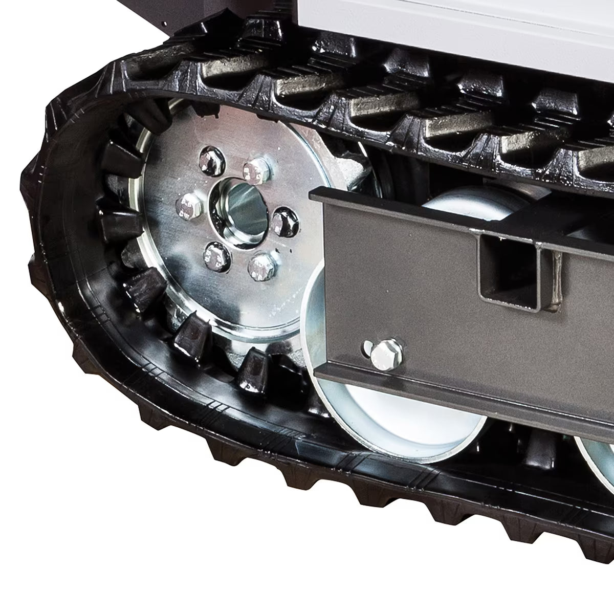 Bertolini BTR 450 Transporter