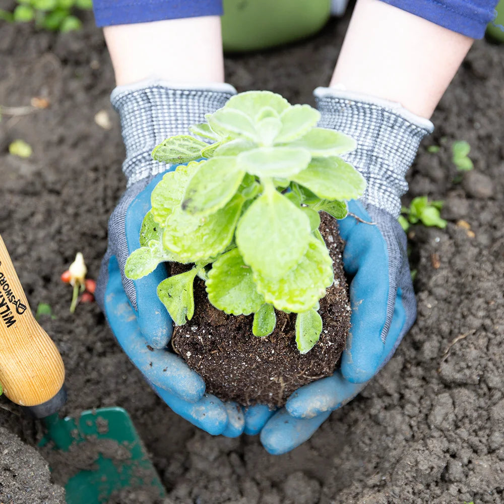 T&C ECO-Flex Ultra Gloves