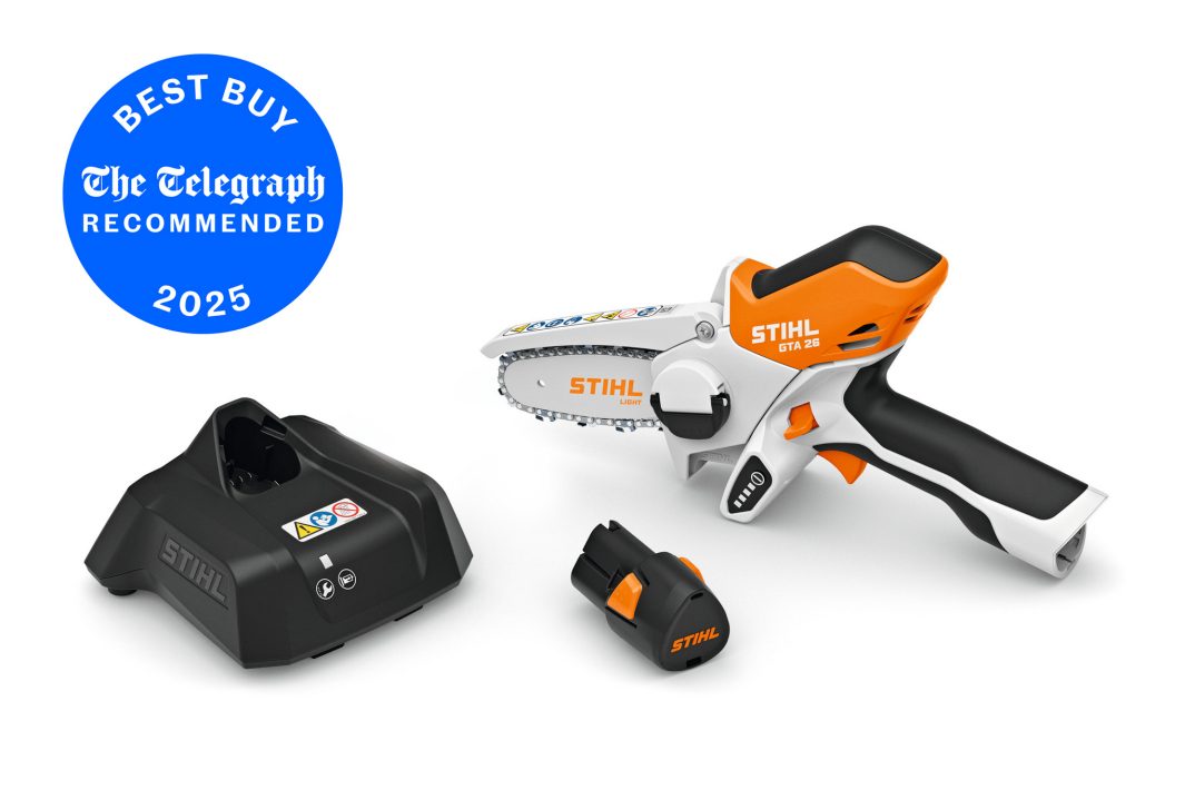 Stihl GTA 26 Garden Pruner