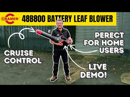Cramer 48B800 48V Blower (800 W)