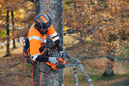 Husqvarna T525 Chainsaw