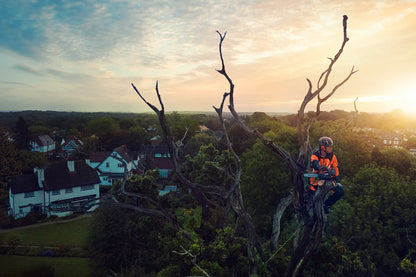 Husqvarna T540i XP® Chainsaw