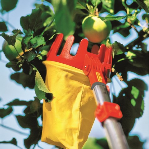 Wolf-Garten multi-change fruit picker | Image 2